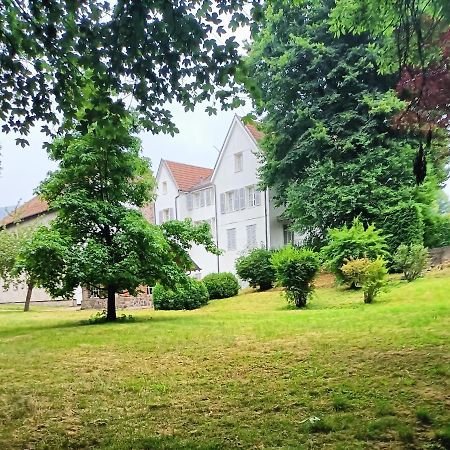 Bed and Breakfast Domaine De La Moselle Saint-Maurice-sur-Moselle Zewnętrze zdjęcie